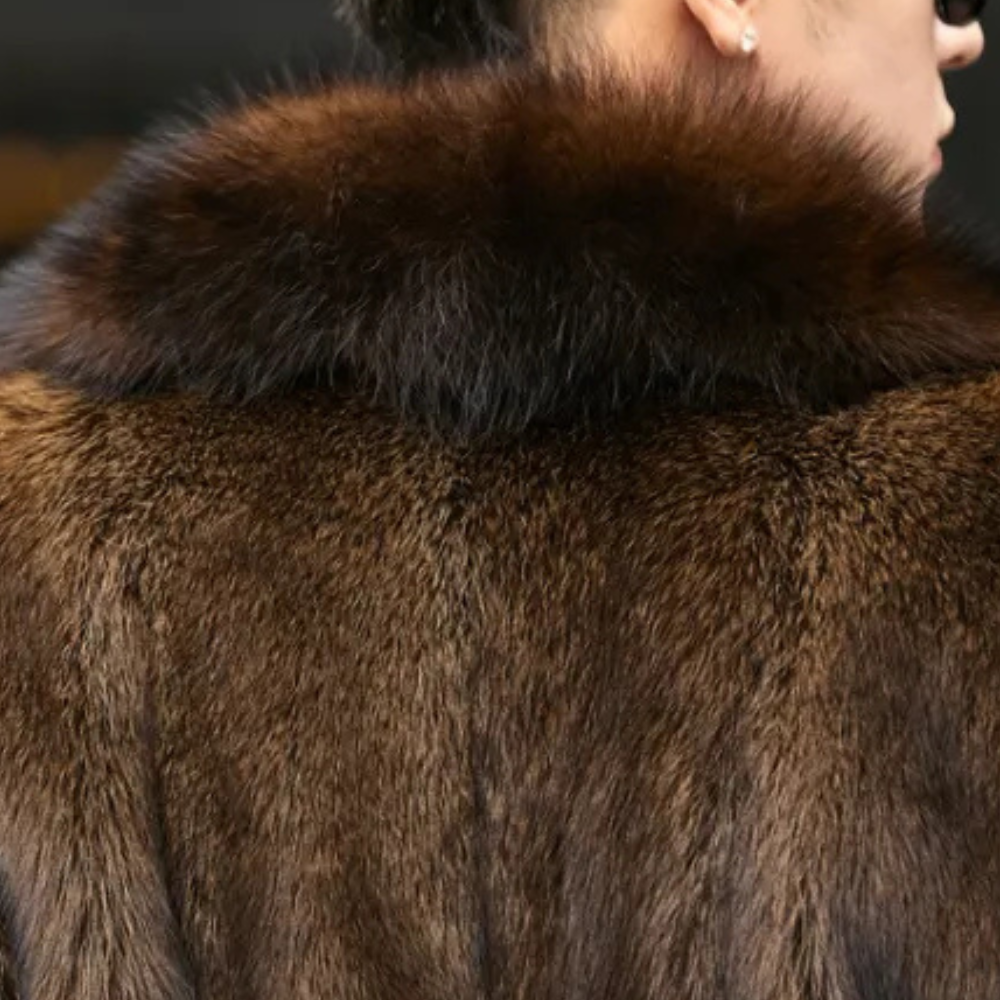 KEOLA - Veste d'Hiver pour Hommes