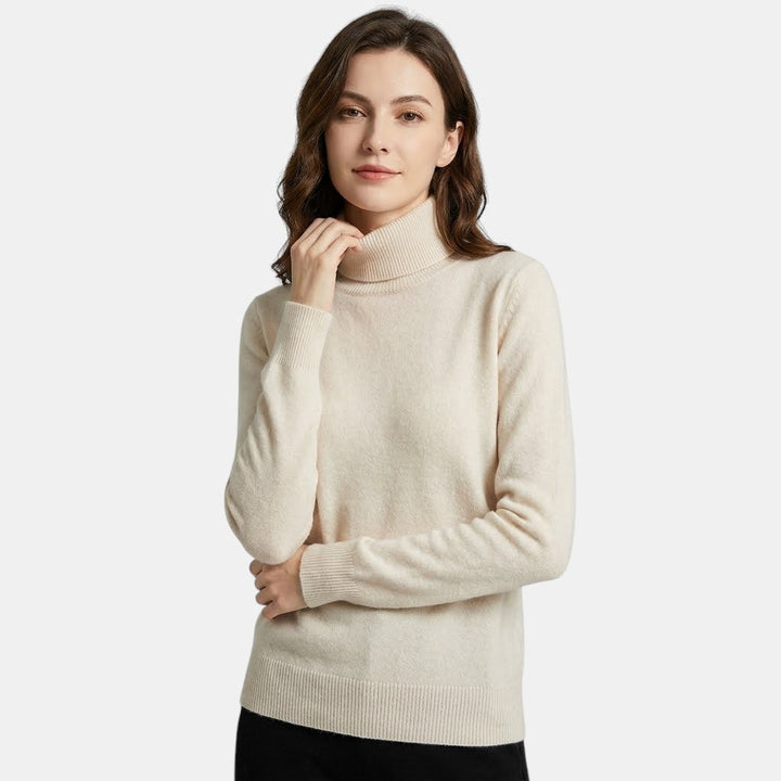 Pull Col Roulé Femme à Manches Longues