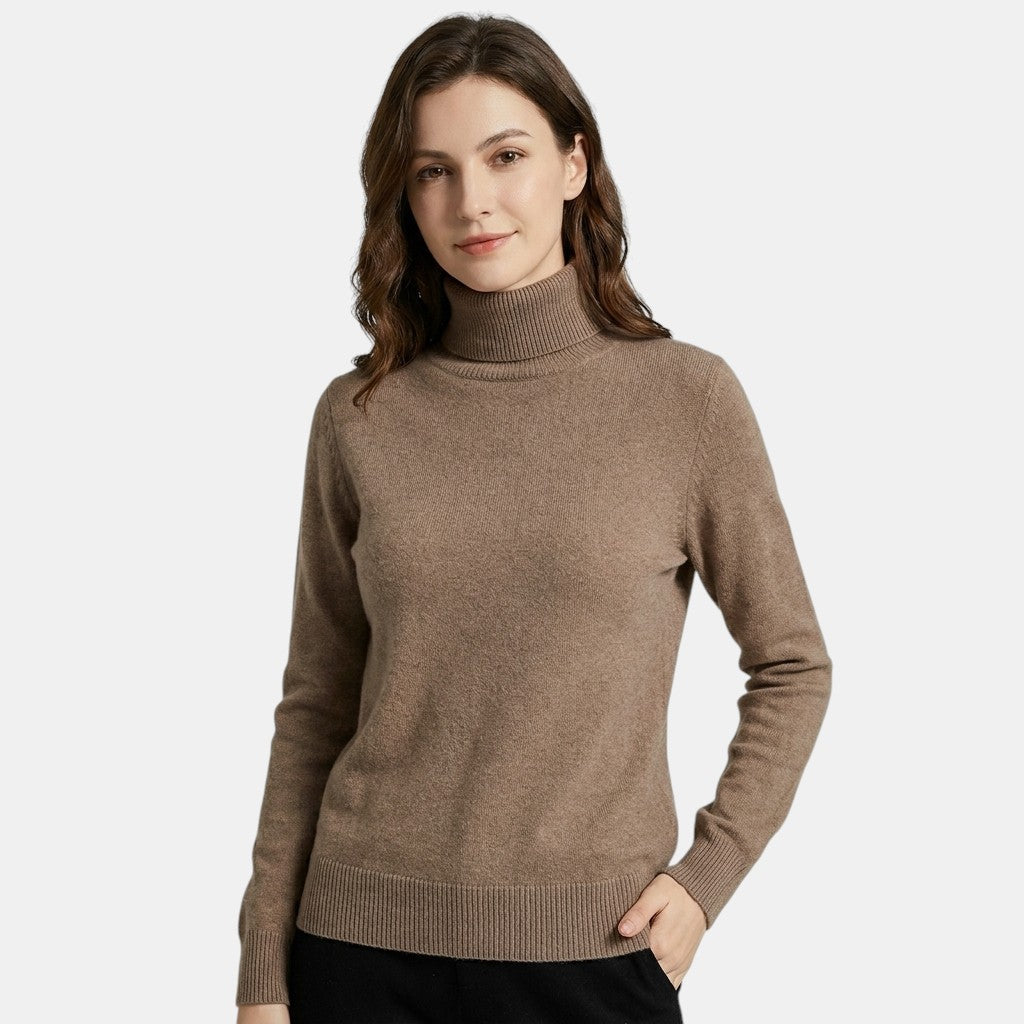 Pull Col Roulé Femme à Manches Longues